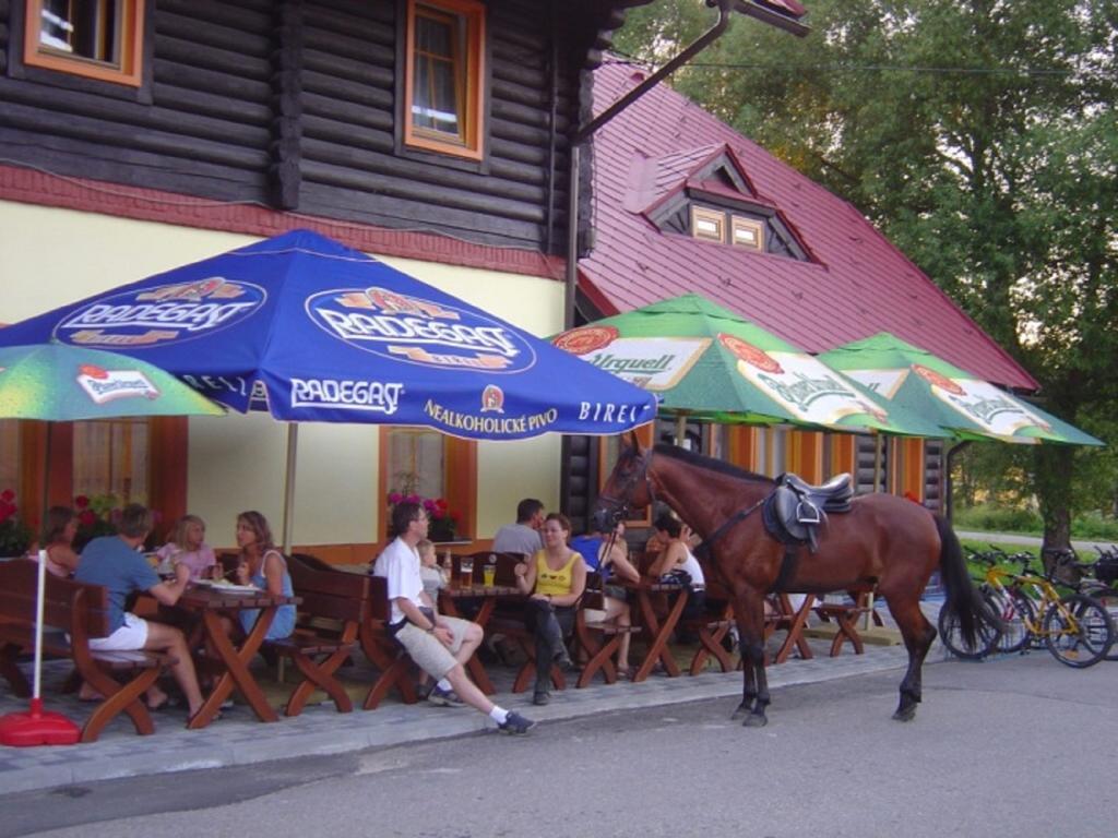 Penzion Pstruh Stozec Exterior photo